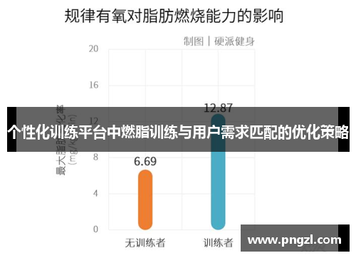个性化训练平台中燃脂训练与用户需求匹配的优化策略